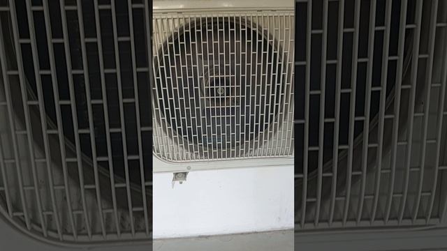 1000000251.mp4