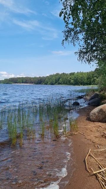 Озеро Разлив,  Санкт-Петербург,  со звуком