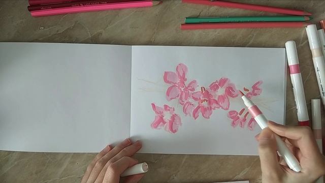 Как нарисовать сакуру акриловыми маркерами и подписать красивой каллиграфической надписью #каллиграф