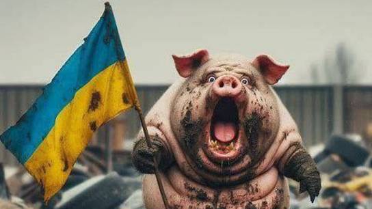 Стрим из Центра по сумеркам