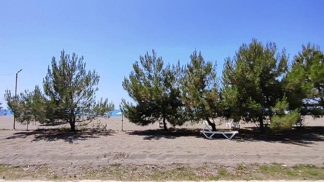 Абхазия Цитрусовый совхоз Погода Море Пляж 26 июня 2025 г.