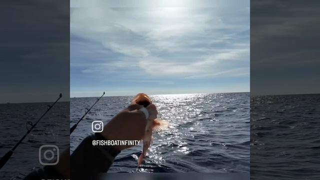 Морская рыбалка на Кипре