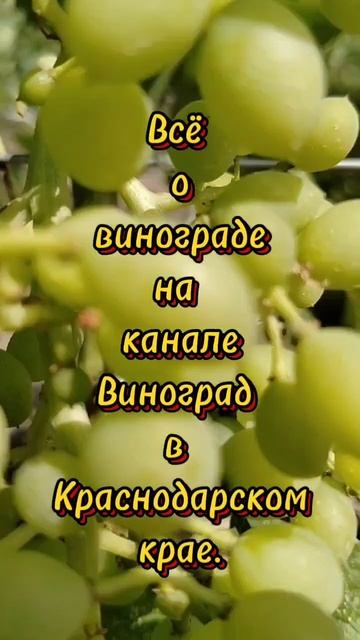 Добро пожаловать.