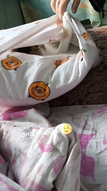Есть красивая одна девушка на земле...