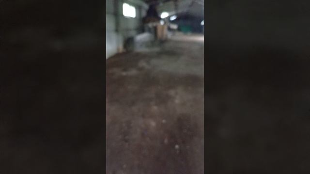 1000036825.mp4