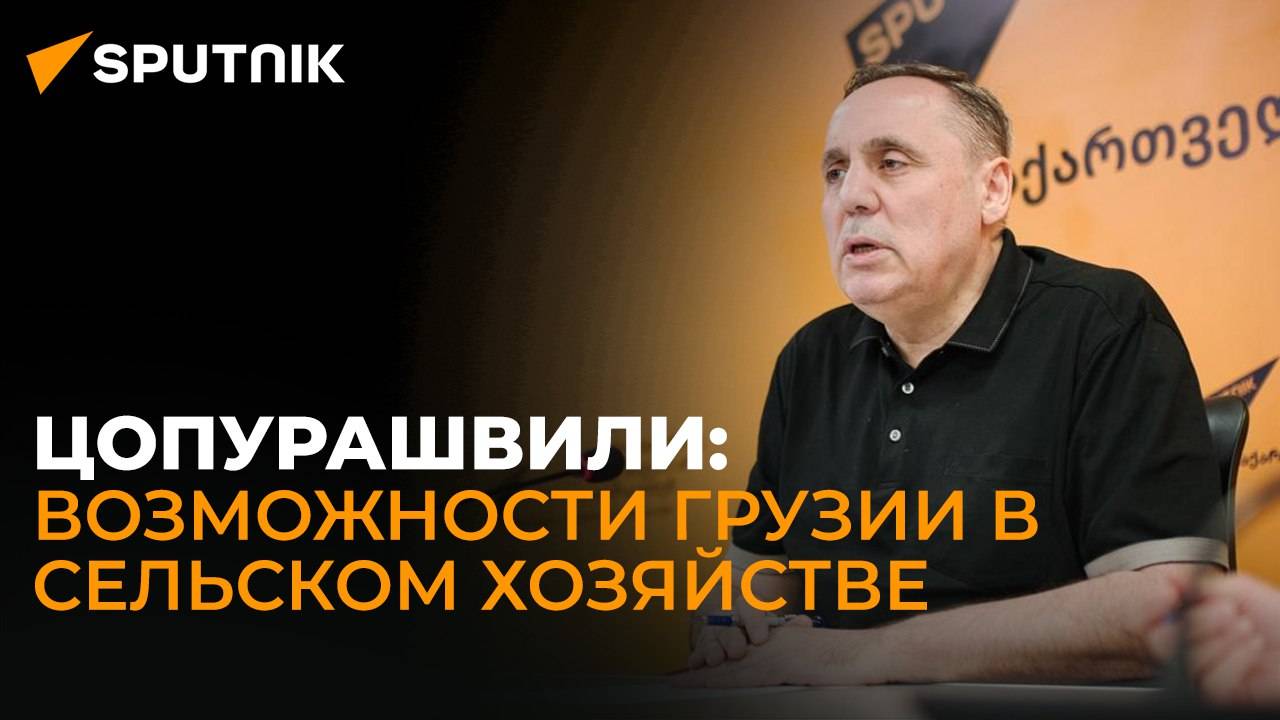 Цопурашвили: Грузия не освоила и 20% своих сельхоз возможностей