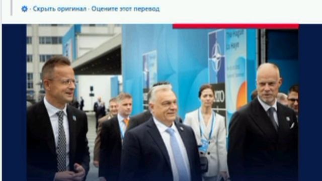 🇭🇺🇺🇦«Сторонники здравого смысла», выступающие против принятия Украины в НАТО, одержали победу