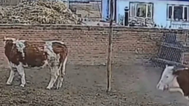 Хотите изменить жизнь - меняйте окружение.