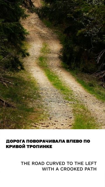 Кривой