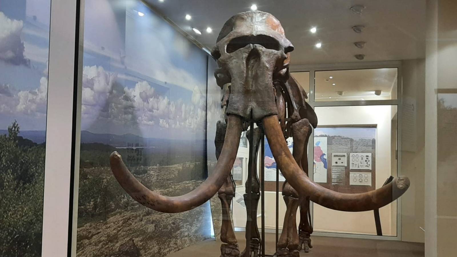 Экспонаты исторического музея (Смоленск)