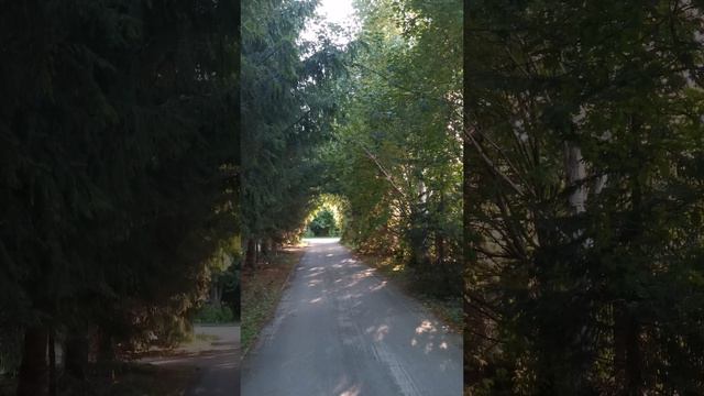 YouCut_20250626_221807197.mp4