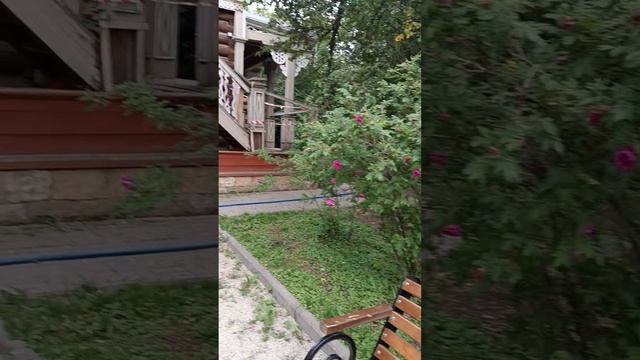 1000027742.mp4