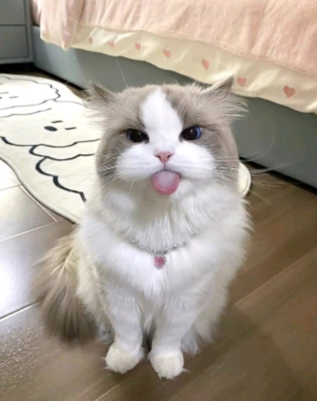 Чв