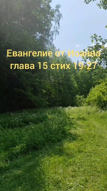 Евангелие от Иоанна глава 15 стих 19-27