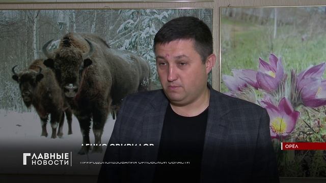 В Орловской области заметили краснокнижных черных аистов