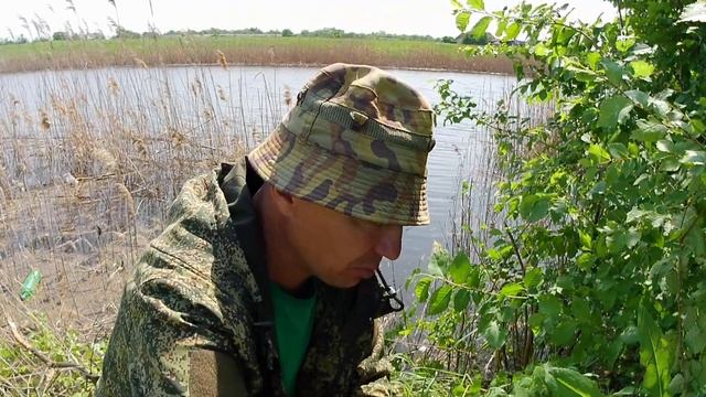 Рыбалка - разведка на ТОЛСТОЛОБА с ИВАНЫЧЕМ и ПЕТРОВИЧЕМ . УЖ-ворюга хотел стащить карася.