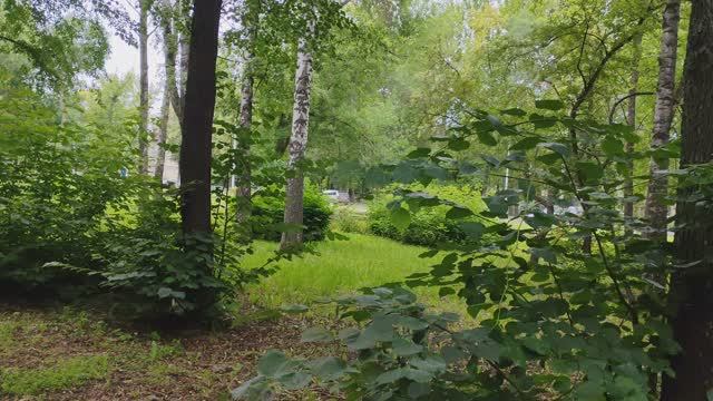 Выехали в город, прогулка по парку, утро