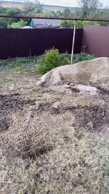 Трактор хороший помощник!!!