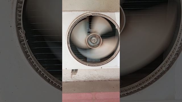 1000000249.mp4