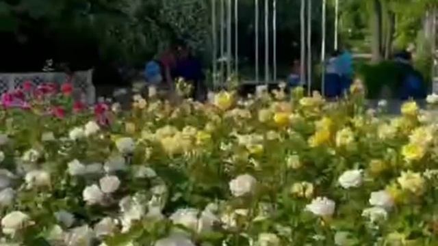 Сейчас в Парке Горького