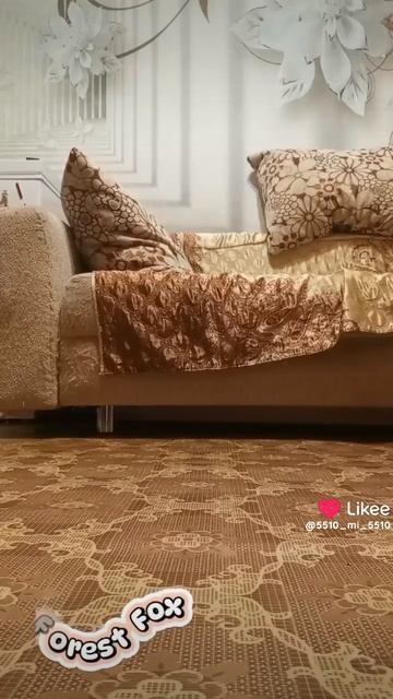 котик играет😊