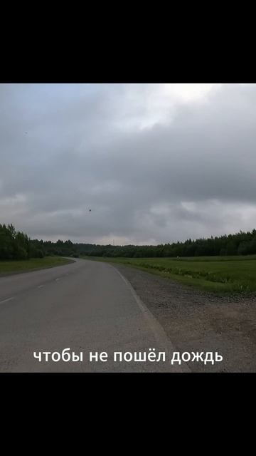 «Выживание в движении»