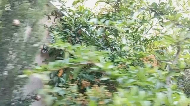 Мы в Севастополе(старое видео)