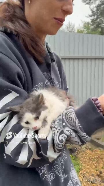 Забрали котёнка , подброшенного на стройку.