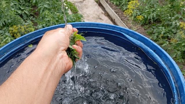 Травяной чай