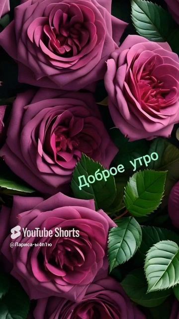 С добрым утром!