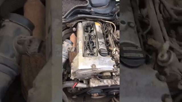 1000016262.mp4