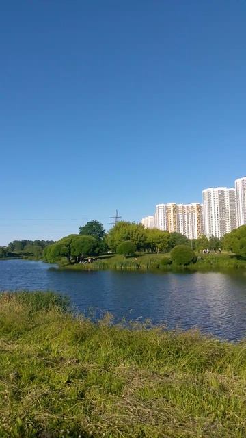 В парке