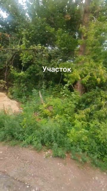 фронтовая