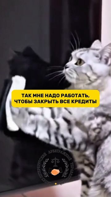 Срочное решение долговых проблем! Узнайте подробнее по телефону 8 (812) 237-38-85