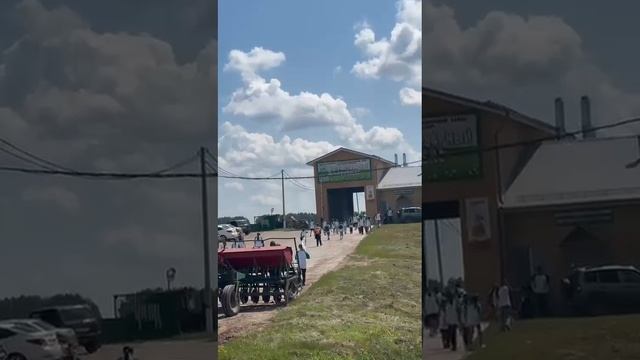 Салавыч авылындагы "Ура! Авылга!" лагеры уңышлы гына эшләп килә