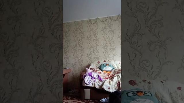 мой дегь