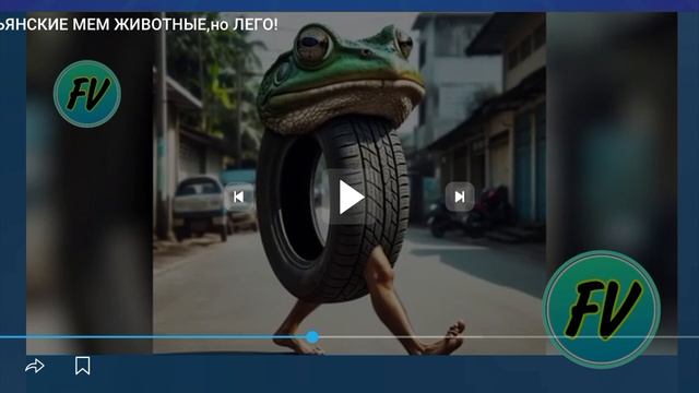 1000002776.mp4