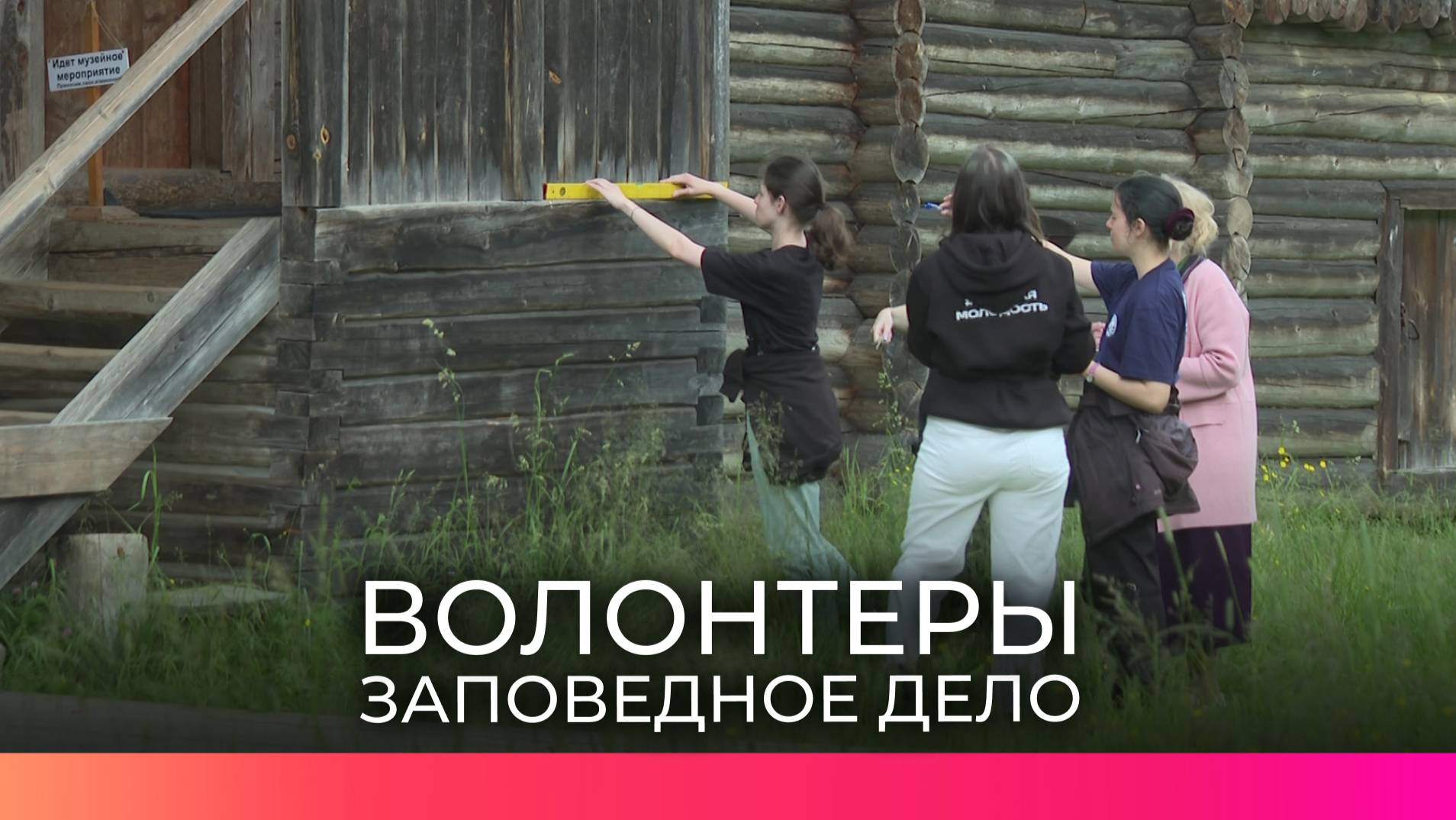 «Заповедное дело»: волонтёры исследуют и реставрируют памятники в «Витославлицах»