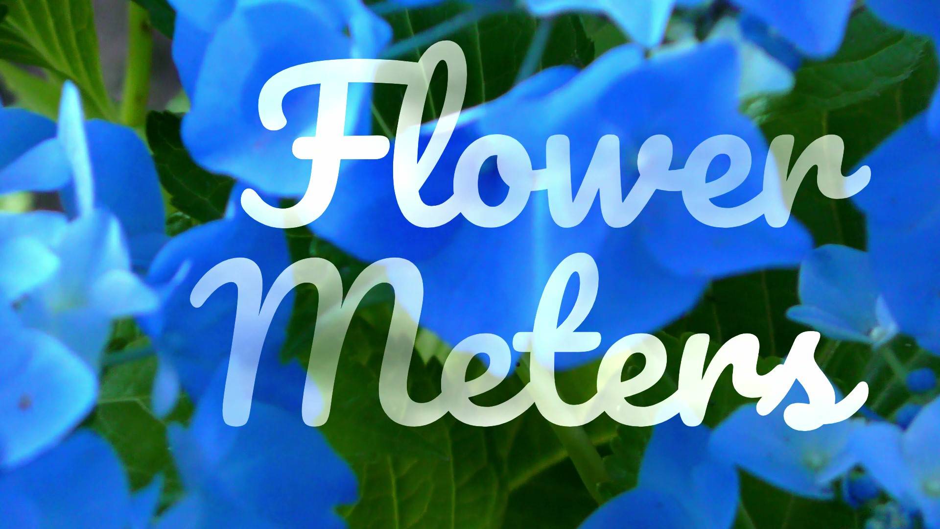 Flower meters