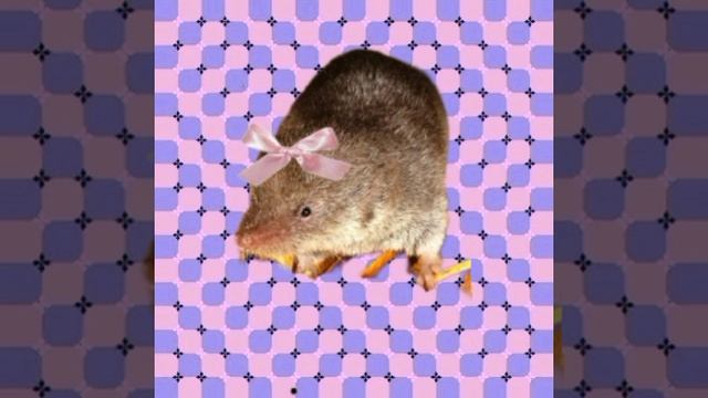 Melanie martinez-MILK OF THE SIREN(speed up)