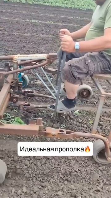 Лёгкая прополка
