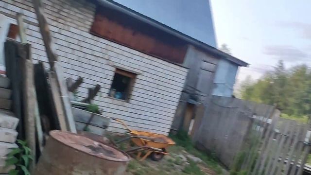 Влог 24/25.