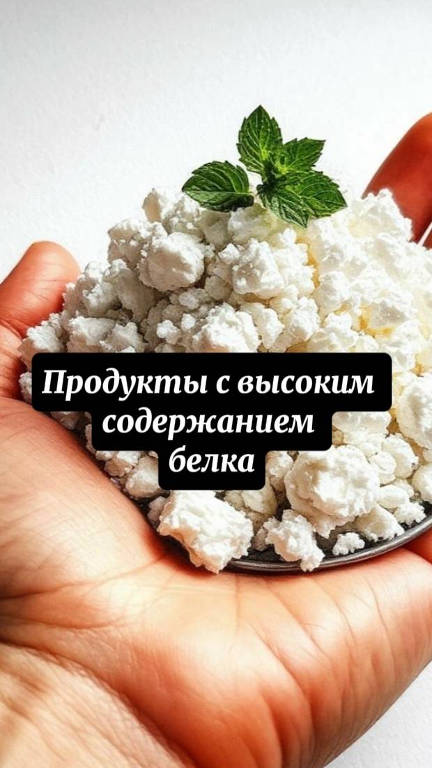 Неочевидные продукты с высоким содержанием белка