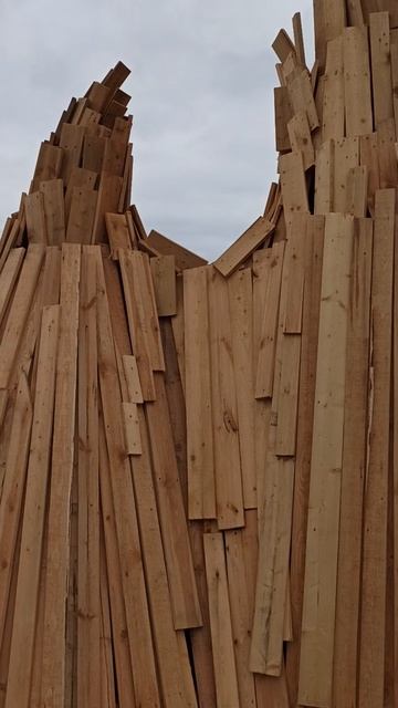 Дизайнеры на Стрелке из гвоздей и палок построили Ленд-арт // Июнь 2025