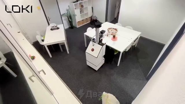 Робот Домохозяйка Loki