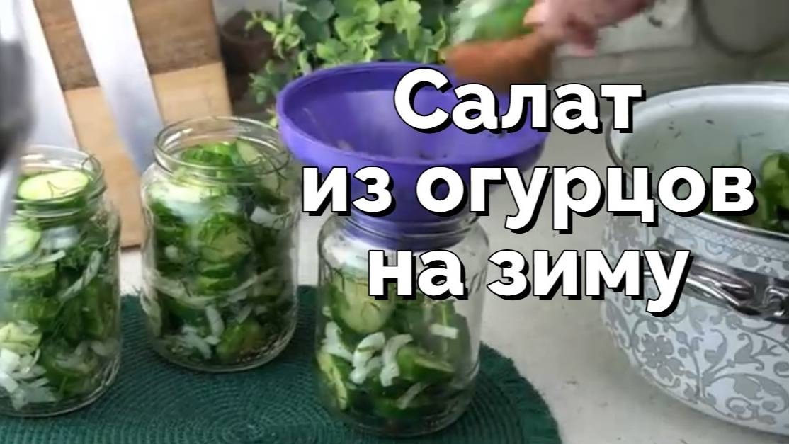 Салат из огурцов на зиму. очень вкусно и легко. Рецепт консервирования огурцов