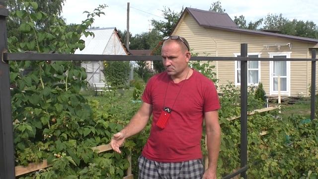 Забор по этапам — не меняйте мастеров!