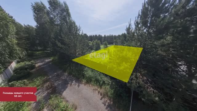 3 4879616 и 4879551