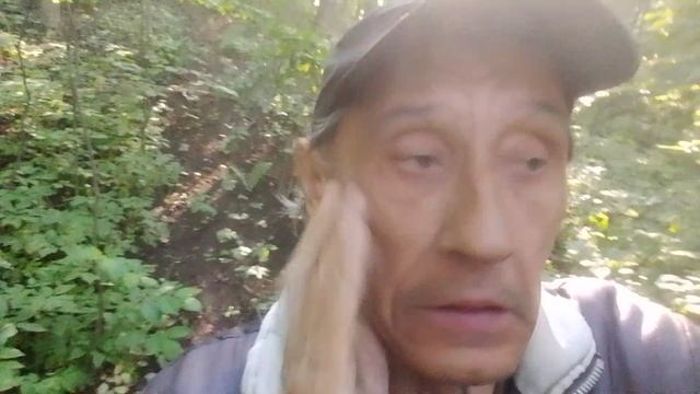 Здравствуйте Моий Зрители Моего Rutube Канала От 26 Июня Четверг 2025 г.