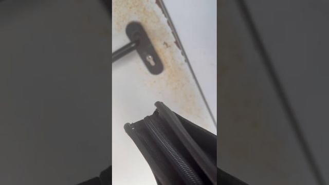 1000264224.mp4